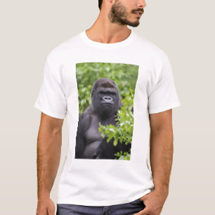 Silverback Lowland Gorilla, Gorilla gorilla, T-Shirt