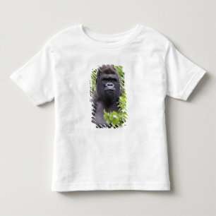 Silverback Lowland Gorilla, Gorilla gorilla, Toddler T-Shirt