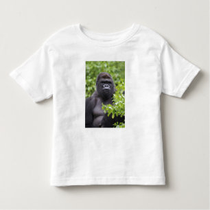 Silverback Lowland Gorilla, Gorilla gorilla, Toddler T-Shirt