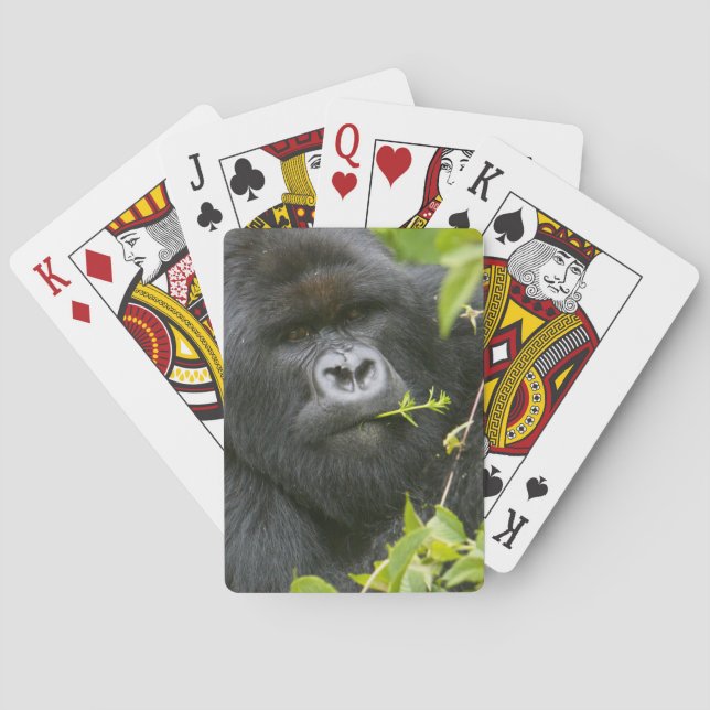 Silverback Mountain Gorilla Playing Cards (Back)