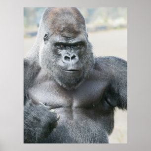 Silverback Unforgettable Presence Poster