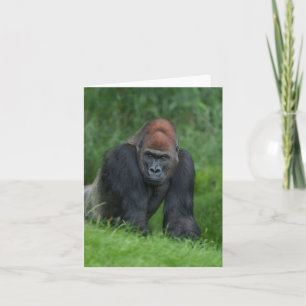Silverback's Serene Realm Note Card