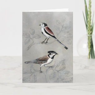 Silvered Aviary   A Pair Card
