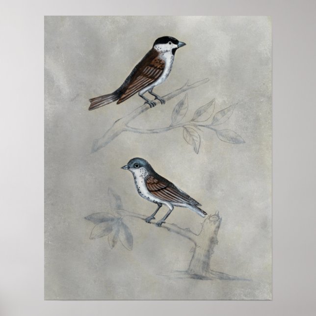 Silvered Aviary | A Pair Of Birds Poster (Front)