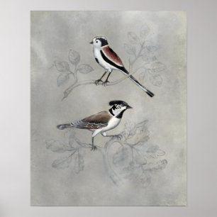 Silvered Aviary A Pair Poster