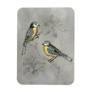 Silvered Aviary Bird Couple Magnet