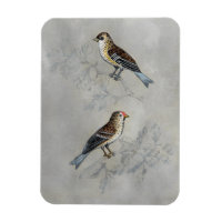 Silvered Aviary | Two Birds