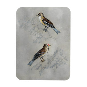 Silvered Aviary   Two Birds Magnet