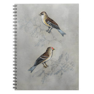 Silvered Aviary   Two Birds Notebook