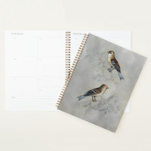 Silvered Aviary Two Birds Planner