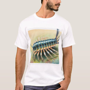 Silverfish in Natural Habitat 200824IREF221 - Wate T-Shirt