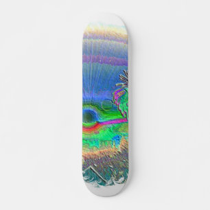 Silverlake Sunset Negative Oval Skateboard