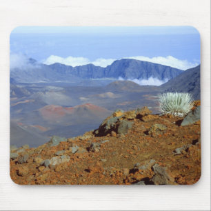 Silversword on Haleakala Crater  Rim from near 2 Mouse Pad