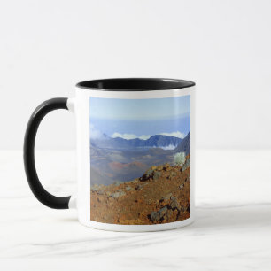 Silversword on Haleakala Crater Rim from near 2 Mug