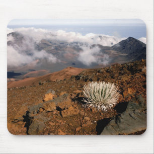 Silversword on Haleakala Crater  Rim from near 3 Mouse Pad