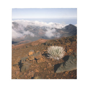 Silversword on Haleakala Crater Rim from near 3 Notepad