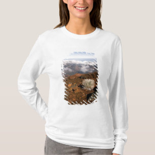 Silversword on Haleakala Crater Rim from near 3 T-Shirt
