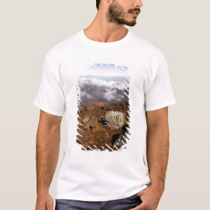 Silversword on Haleakala Crater Rim from near 3 T-Shirt