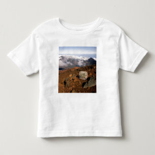 Silversword on Haleakala Crater Rim from near 3 Toddler T-Shirt