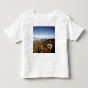 Silversword on Haleakala Crater  Rim from near Toddler T-Shirt