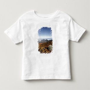 Silversword on Haleakala Crater  Rim from near Toddler T-Shirt
