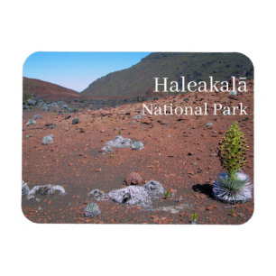 Silversword, Sand Dunes, Haleakalā National Park  Magnet