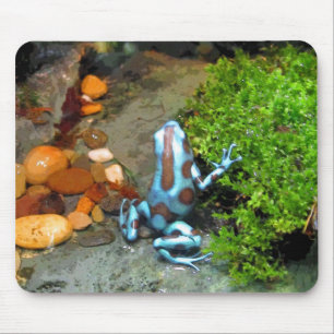 Silvery Blue Dart Frog CB Mouse Pad