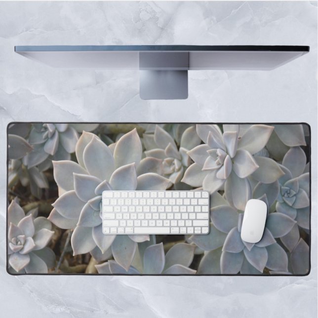 Silvery Blue Succulents Botanical Photographic Desk Mat (Creator Uploaded)