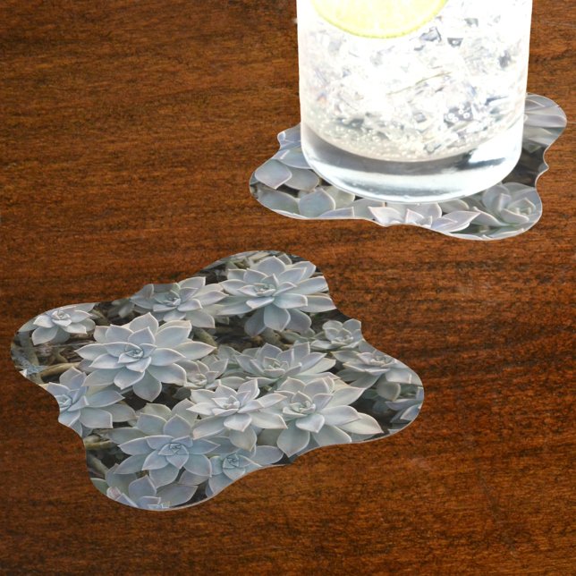Silvery Blue Succulents Paper Coaster (Creator Uploaded)