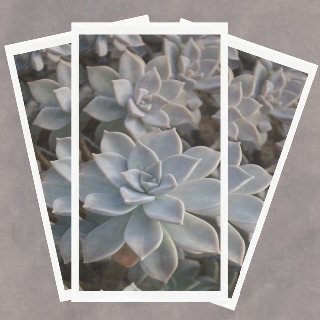 Silvery Blue Succulents  Paper Guest Towels Napkin (Creator Uploaded)