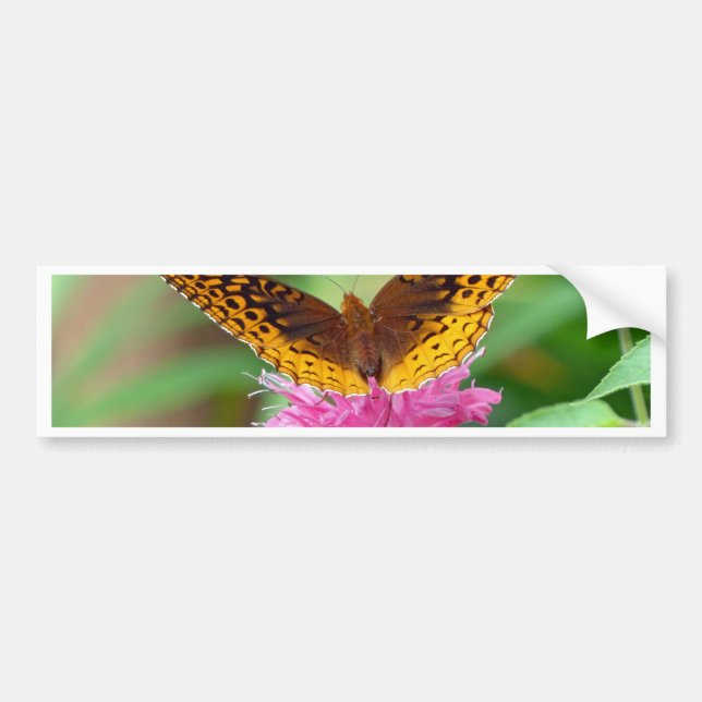 Silvery Checkerspot Butterfly Bumper Sticker (Front)