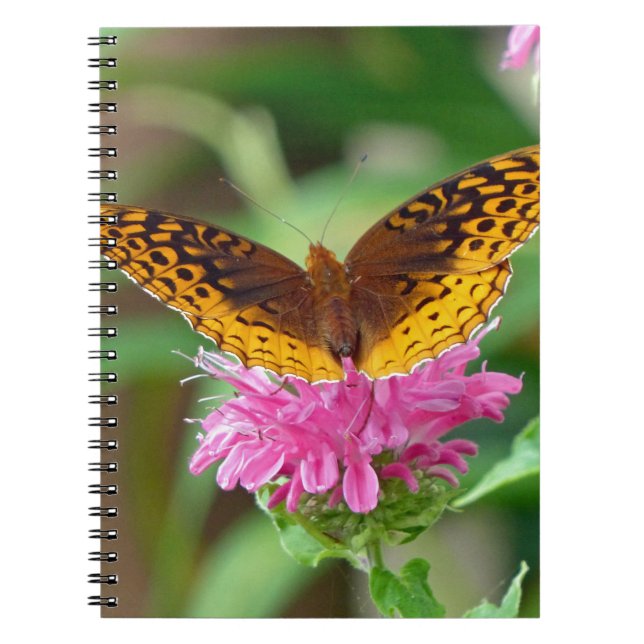 Silvery Checkerspot Butterfly Notebook (Front)