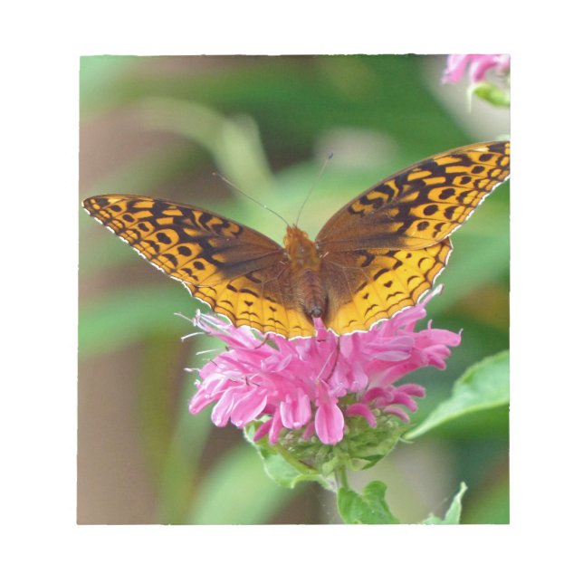 Silvery Checkerspot Butterfly Notepad (Front)