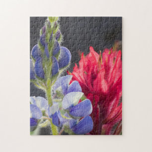 Silvery Lupine, Lavender Paintbrush Jigsaw Puzzle