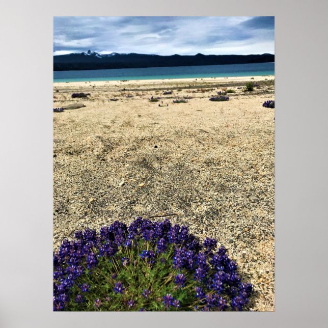 Simax Bay at Crescent Lake, Oregon Poster (Front)
