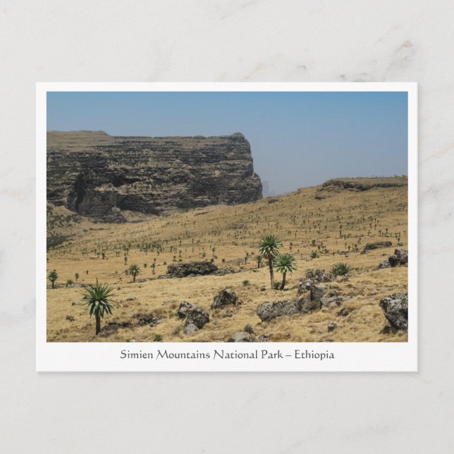 Simien Mountains Ethiopia Postcard (Front)