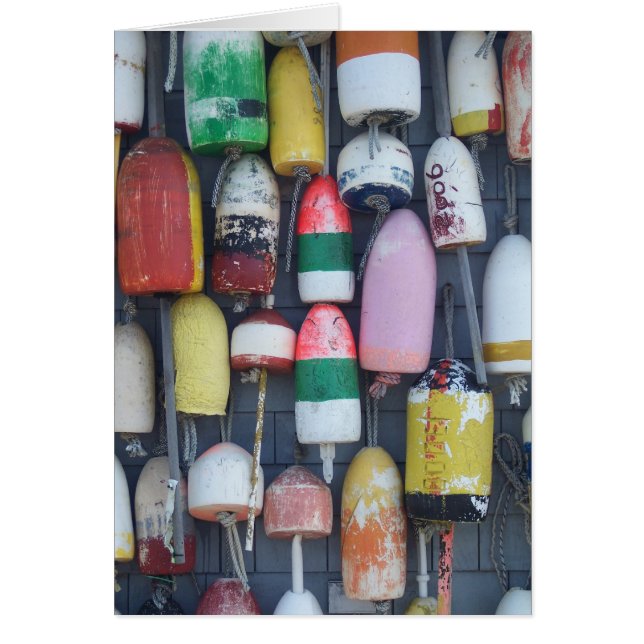 Similarity in a Sea of Differences (Front)