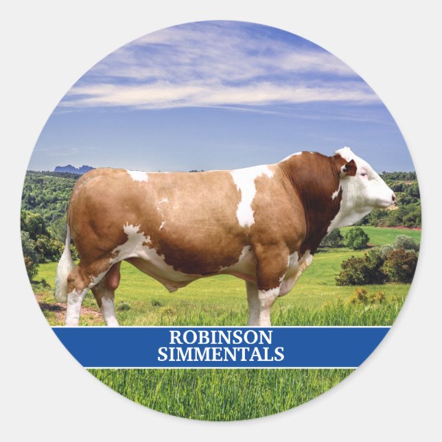 Simmental Bull in Pasture  Classic Round Sticker (Front)