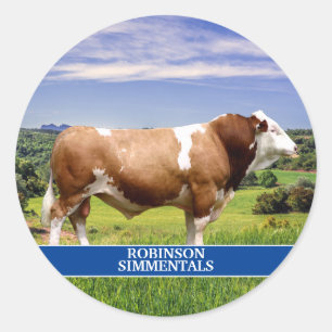 Simmental Bull in Pasture Classic Round Sticker