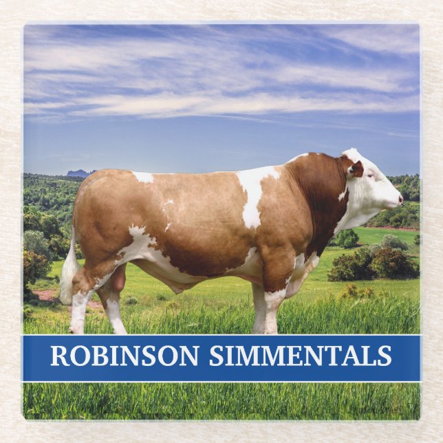 Simmental Bull in Pasture  Glass Coaster (Front)