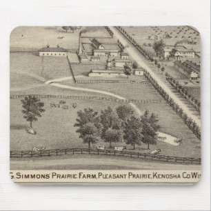 Simmon's Prairie Farm, Kenosha Water Cure Mouse Pad