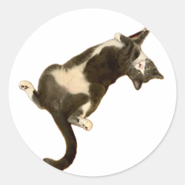 Simon Sticker - Playing! (Front)