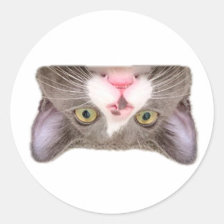 Simon Upside Down Face Sticker