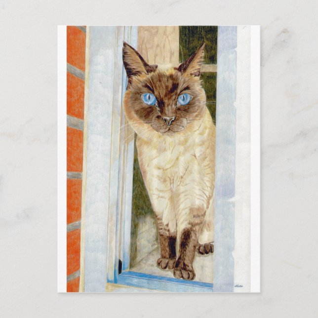 Simone at the Window (Siamese) Postcard (Front)