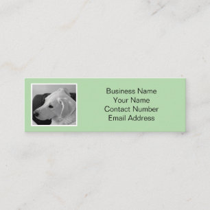 Simple and Elegant Light Green Dog Photo Pet Mini Business Card