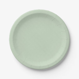 Simple And Plain Plates For Wedding birthday party