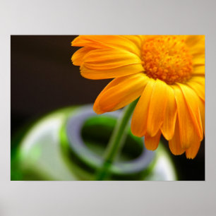Simple Arrangment Poster