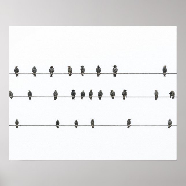 Simple Birds on the Wires Hand-Drawn Illustration Poster (Front)