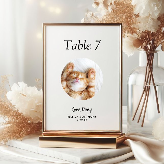 Simple Black and White Cat Photo Wedding  Table Number (Creator Uploaded)