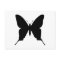Simple Black Butterfly Silhouette